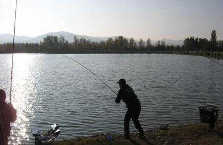 REGIONALE TROTA LAGO: VINCE LA ASD VALNURE