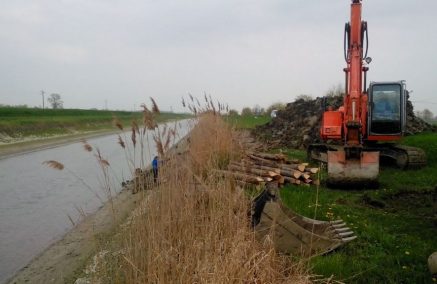LAVORI DI MANUTENZIONE IN FIUMA MANDRIA VECCHIA