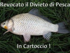 REVOCATO IL DIVIETO DI PESCA IN CARTOCCIO !