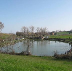 CLASSIFICHE FINALI CAMPIONATO PROVINCIALE INDIVIDUALE TROTA LAGO 2025