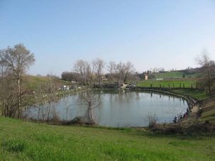 ALLA RED ALBATROS MAVER LA 2ª PROVA DEL TROFEO REGIONALE LAGO