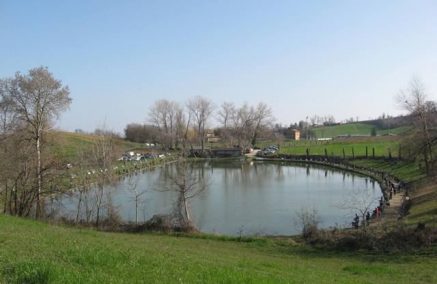 CLASSIFICHE FINALI CAMPIONATO PROVINCIALE INDIVIDUALE TROTA LAGO 2025