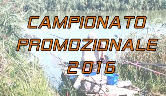 Logo Promozionale 2016