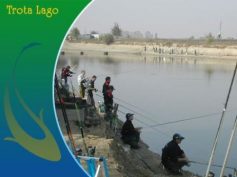 MANUEL FABBRUCCI (VALMARECCHIA) CAMPIONE REGIONALE TROTA LAGO ESCHE NATURALI