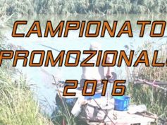 IL GATTO AZZURRO COLMIC VINCE IL CAMPIONATO PROMOZIONALE 2016