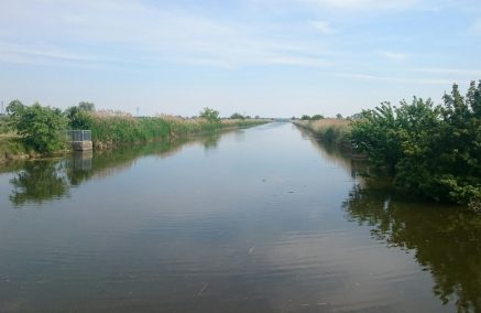 ENRICO PATTINI (VAL D’ENZA 2000 TUBERTINI) AL COMANDO DEL PROVINCIALE 3ª SERIE