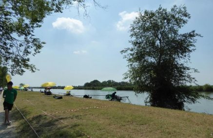 ANDRA’ TUTTO BENE A OSTELLATO – ANCORA PASQUINO!