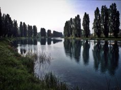 LAVORI DI RIFACIMENTO STRADA ALZAIA FIUME MINCIO SPONDA SINISTRA