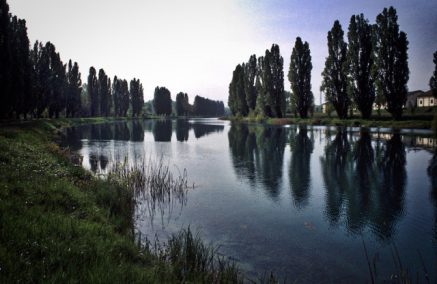 LAVORI DI RIFACIMENTO STRADA ALZAIA FIUME MINCIO SPONDA SINISTRA