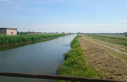 PRECISAZIONI SU ACCESSO A CAMPO GARA CAVO BONDENO