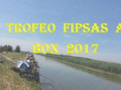ALLA BORETTO PO TUBERTINI IL TROFEO FIPSAS A BOX 2017