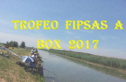 ALLA BORETTO PO TUBERTINI IL TROFEO FIPSAS A BOX 2017