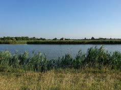 SARTI/CALZOLARI (CANNE ESTENSI COLMIC) TRIONFANO NELL’ITALIANO A COPPIE DI PESCA AL COLPO