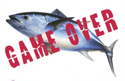 DAL 1° AGOSTO CHIUDE LA PESCA SPORTIVA AL TONNO ROSSO