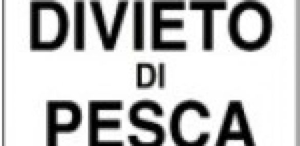 DIVIETO DI PESCA TEMPORANEO FIUME ENZA E FIUME SECCHIA