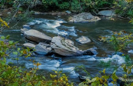 REGOLAMENTI PROVINCIALI TROTA TORRENTE 2018
