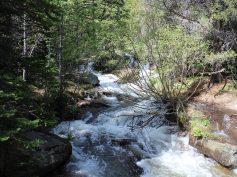 PROVINCIALE TROTA TORRENTE: DISPUTATA LA 1ª PROVA NEL TORRENTE SECCHIELLO