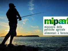 RINNOVO VALIDITÀ DELLE COMUNICAZIONI DI PESCA SPORTIVA RICREATIVA 2019