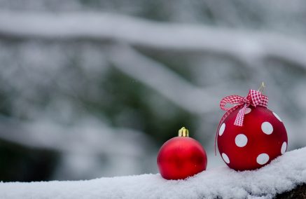 BUONE FESTE DA FIPSAS REGGIO EMILIA!