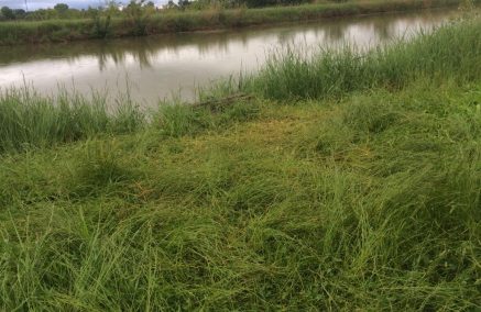 ANNULLAMENTO 1ª PROVA TROFEO REGIONALE GIRONE A