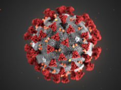 CHIARIMENTI SU ORDINANZA GESTIONE EMERGENZA EPIDEMIOLOGICA DA COVID-2019