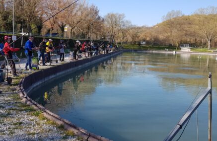 REGIONALE TROTA LAGO: BLACK SHARK’S AL COMANDO DOPO LA 1ª PROVA