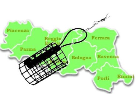 1ª – 2ª PROVA TROFEO REGIONALE FEEDER EMILIA-ROMAGNA