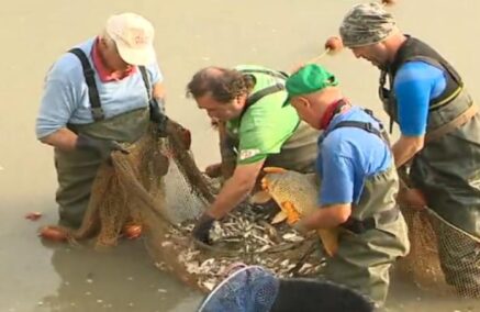 EFFETTUATO MAXI RECUPERO DI PESCI A BORETTO