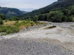 DIVIETO DI PESCA NEL TORRENTE ENZA