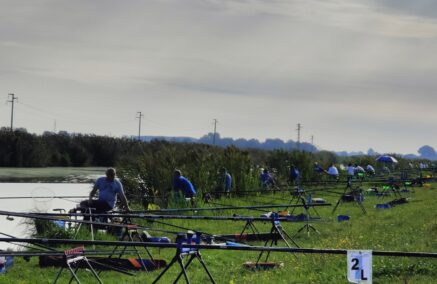 1ª PROVA ITALIANO BOX: SASSO MARCONI COLMIC AL COMANDO