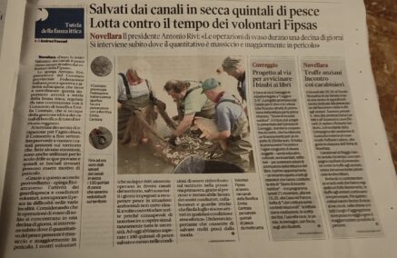 L’INSTANCABILE LAVORO DEI NOSTRI VOLONTARI PER IL RECUPERO DEI PESCI IN DIFFICOLTA’