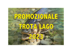 2ª PROMOZIONALE TROTA LAGO: DOMINA LA LAGO AZZURRO DAMO TRABUCCO