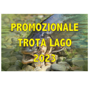 2ª PROMOZIONALE TROTA LAGO: DOMINA LA LAGO AZZURRO DAMO TRABUCCO
