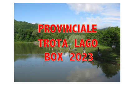 CAMPIONATO PROVINCIALE A BOX TROTA LAGO 2023