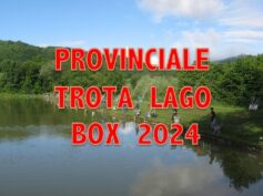 CAMPIONATO PROVINCIALE A BOX TROTA LAGO 2024