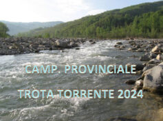 CLASSIFICHE 2ª PROVA CAMPIONATO PROVINCIALE INDIVIDUALE TROTA TORRENTE 2024