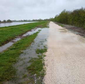 MODIFICA TRATTO CAMPO GARA COPPA CAMPIONI COLPO 2026