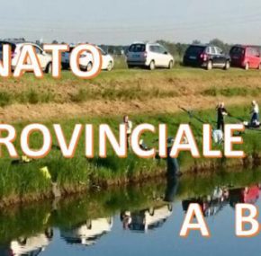 REGOLAMENTO CAMPIONATO PROVINCIALE A BOX 2026