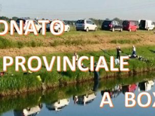 REGOLAMENTO CAMPIONATO PROVINCIALE A BOX 2026