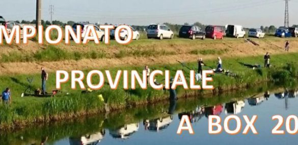 REGOLAMENTO CAMPIONATO PROVINCIALE A BOX 2026