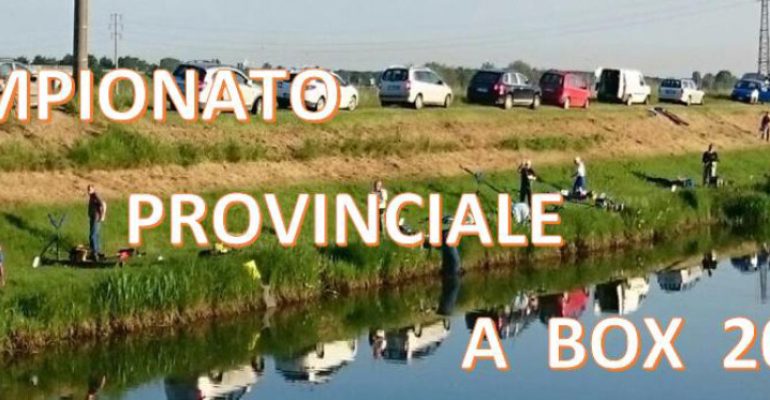 REGOLAMENTO CAMPIONATO PROVINCIALE A BOX 2026