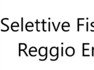 REGOLAMENTO FISHERIES REGGIO EMILIA 2026 SELETTIVA PER COPPA ITALIA FISHERIES 2027