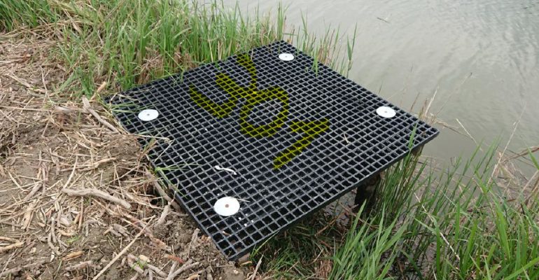 ATTENZIONE: NUOVA NUMERAZIONE FIUMA MANDRIA NUOVA
